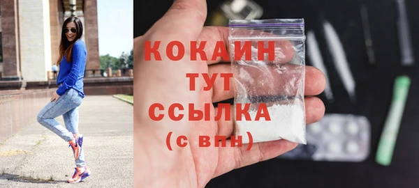 соль ск Арсеньев
