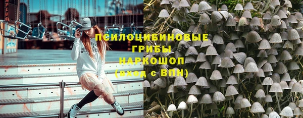 соль ск Арсеньев