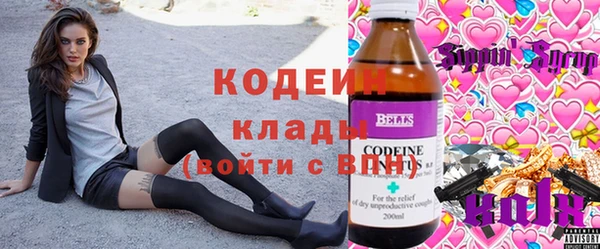 соль ск Арсеньев