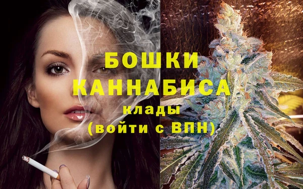 соль ск Арсеньев